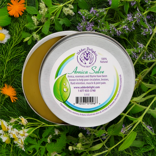 Arnica Salve 3 oz. Tin