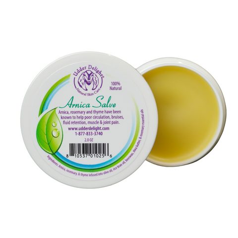 Arnica Salve 2 oz. Jar