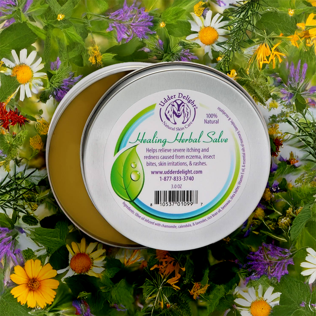 Healing Herbal Salve 3 oz. Tin